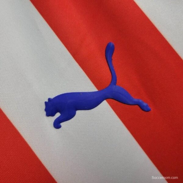 Retro 16/17 Chivas Guadalajara 110-Years Anniversary Home Jersey - Image 3