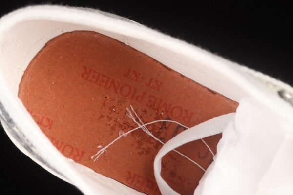 Dior Walk'n Dior 21s embroidery series 3D canvas low upper shoes KCK211BWES19R - Image 4