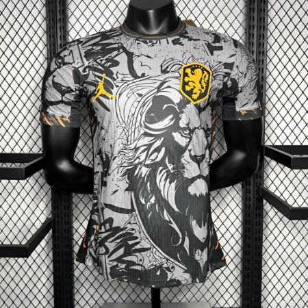 Player Version 2024 Netherlands Grey Euro Jordan Jersey