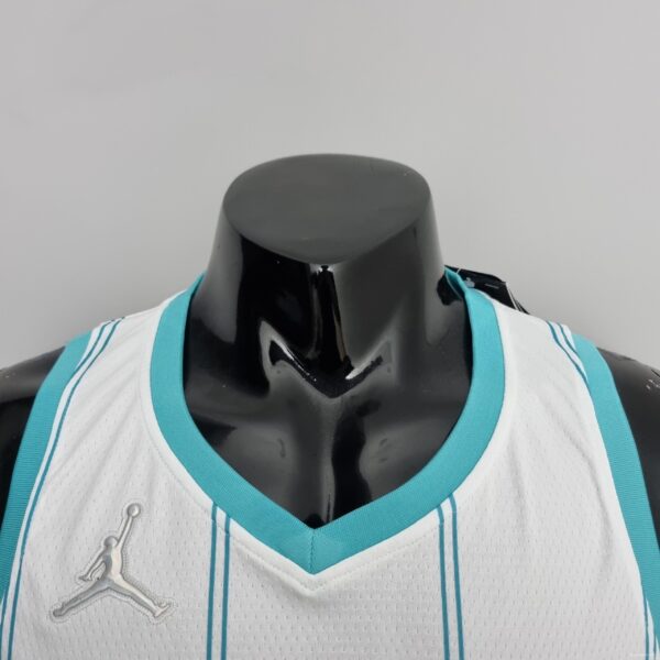 75th Anniversary Hayward #20 Charlotte Hornets White NBA Jersey - Image 10